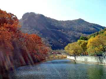 天天彩好彩天天免费，雅迪助力车报价